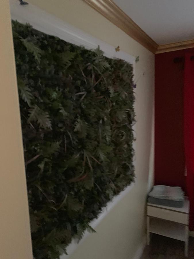 Lax Guest House Инглвуд Экстерьер фото
