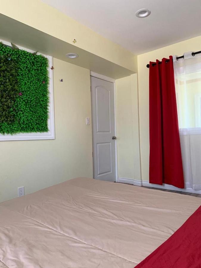 Lax Guest House Инглвуд Экстерьер фото